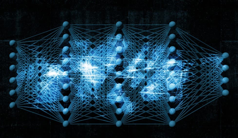 The Concepts of Dense and Sparse in the Context of Neural Networks